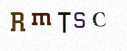 Visual Bestätigung Security Code