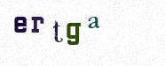 Visual Bestätigung Security Code
